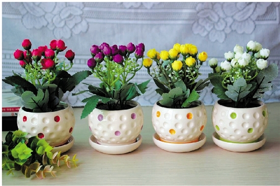 春暖花开 水仙风信子这样的小盆景植物和花卉受欢迎