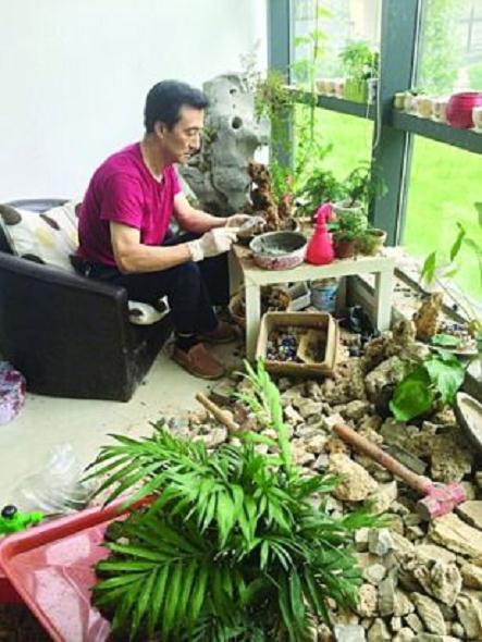 桂花社区两位中草药达人教你制作健康草药盆景