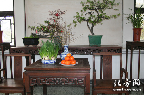 水上公园腊梅迎春 200多盆盆景竞相争妍（图）