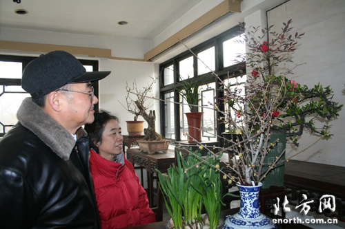 水上公园腊梅迎春 200多盆盆景竞相争妍（图）