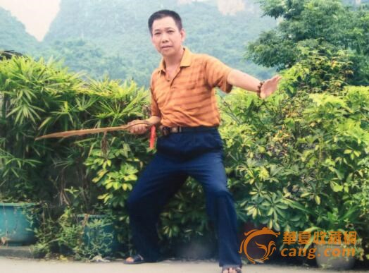 藏宝国的飞龙在天盆景山松