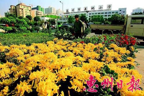 图2:花市档主在摆放鲜花。