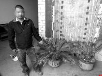 出租车司机爱花草 凌晨偷盆景藏床下