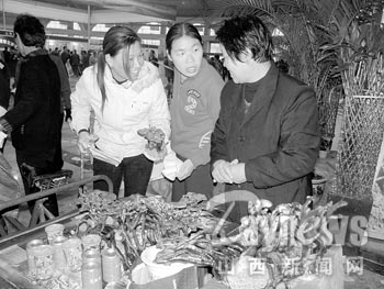 运城:十多年来潜心钻研培育灵芝制成盆景(图)