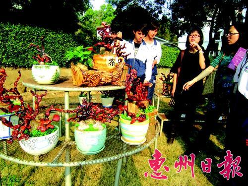 农校学生制作灵芝盆景贺校庆