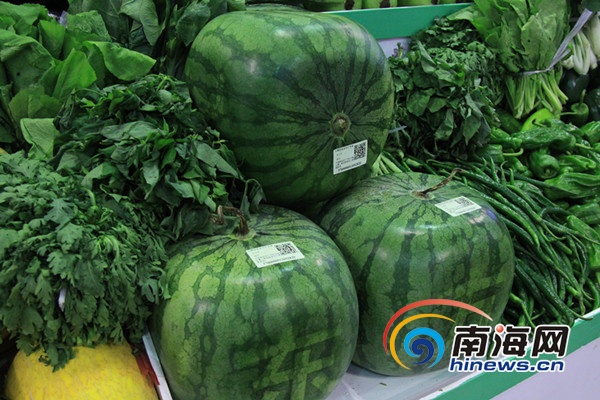 盘点2013年海南冬交会上最博眼球的产品 灵芝做盆景