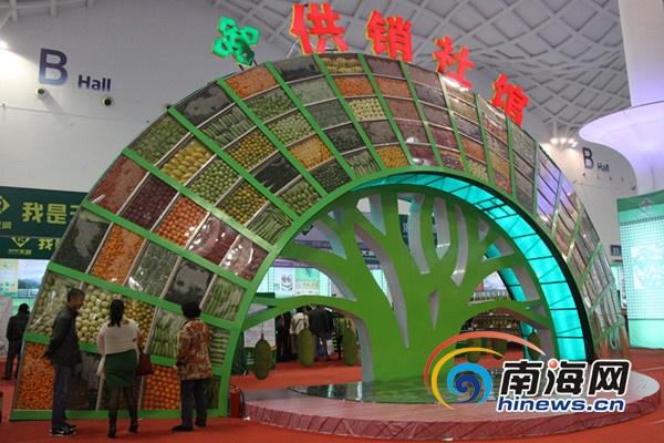 盘点2013年海南冬交会上最博眼球的产品 灵芝做盆景