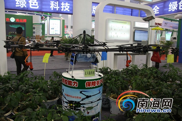 盘点2013年海南冬交会上最博眼球的产品 灵芝做盆景