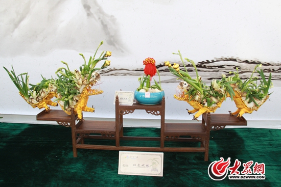 大明湖460水仙盆景明日开展,“水仙马”高2.6米