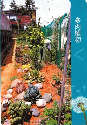 云南新益洲都市农庄开业典礼暨新益洲2015首届根艺奇石盆景多肉植物展即将开展