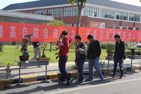 亲,晒晒你的盆景吧!