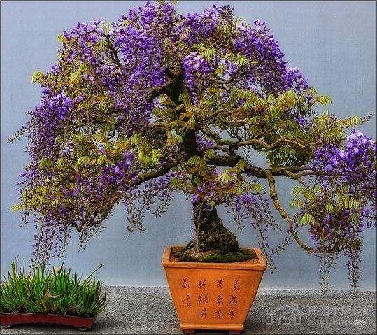 拟投资2.3亿元 渝中区打造大型