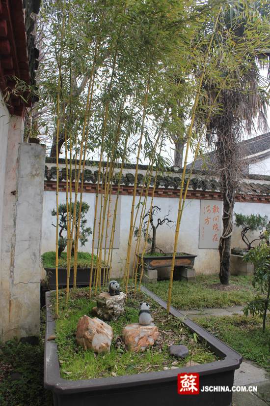 巧心巧手制盆景 如皋花木产业破百亿