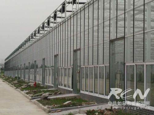 04即将建成的1万平米的智能温室大棚