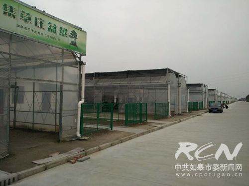 03即将建成的盆景区