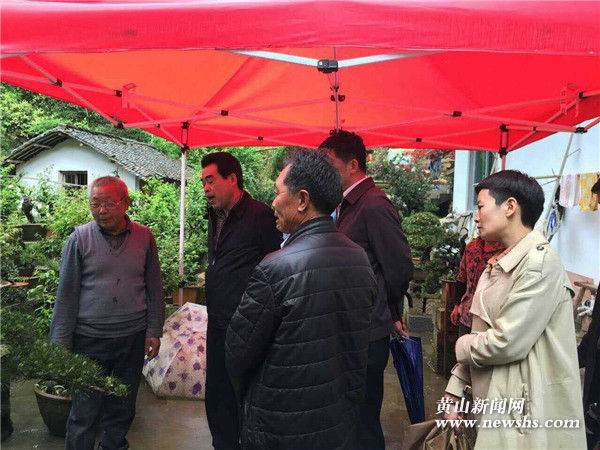 市长孔晓宏到卖花渔村调研指导盆景产业发展