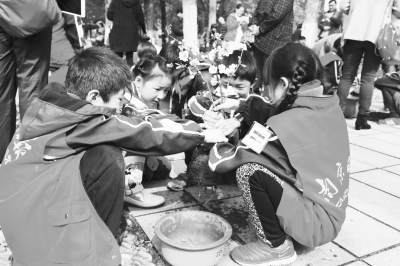 雨花外国语小学小记者做盆景 赏海棠