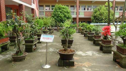 如皋市搬经小学&ldquo;诗意盆景&rdquo;添情趣