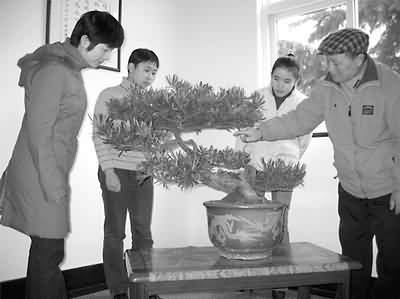 七旬老人捐献&ldquo;世纪盆景&rdquo;(图)