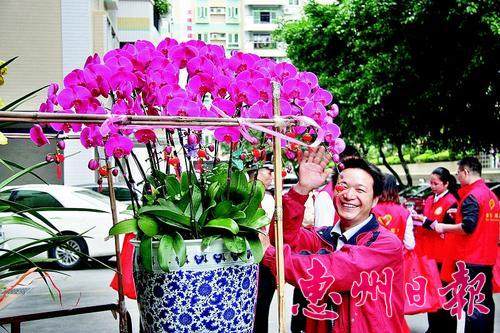 许多市民纷纷购买盆景等花卉装饰家居