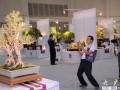 首届中国盆景国家大展在中山古镇开幕