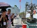 龙川县首届龙飞杯盆景雅石博览会揭幕