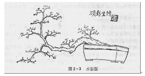 图解 盆景制作系列之造型设计的方法
