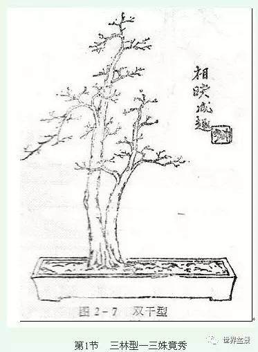 图解 盆景制作系列之造型设计的方法