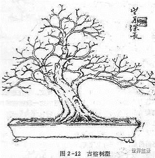 图解 盆景制作系列之造型设计的方法