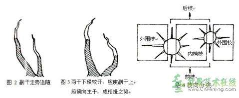 图解 双干树盆景造型设计的方法