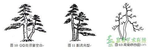 图解 双干树盆景造型设计的方法