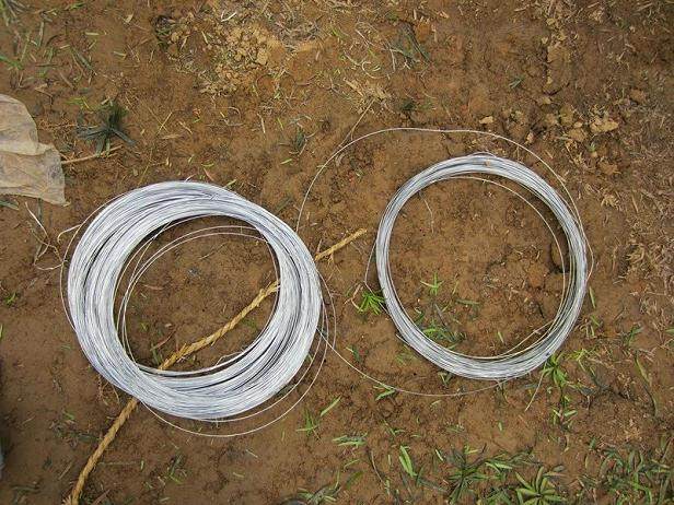 罗汉松盆景造型树造型技艺