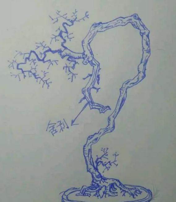 生桩 | 一棵文人枸杞树盆景，100天没发芽