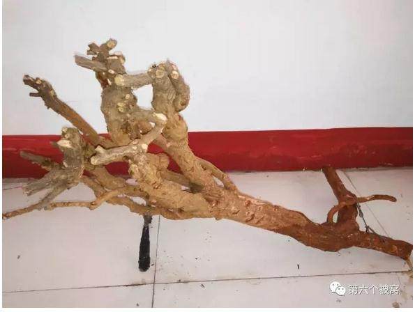 生桩 | o<em></em>nly you,不之,人眼人心小盆友,你们的生桩收到了