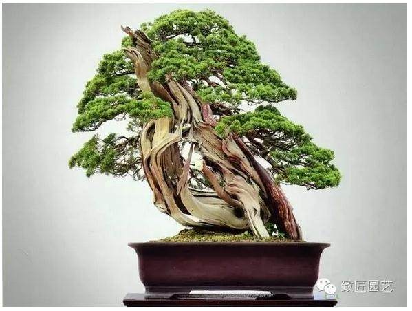 这些用山石作成的盆景,不露痕迹,宛若天成