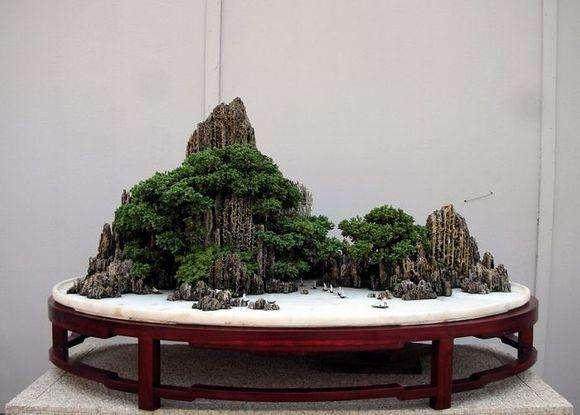 襄阳市假山石盆景价格为3000—6000元