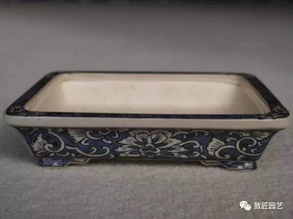 这些盆景用盆你都见过