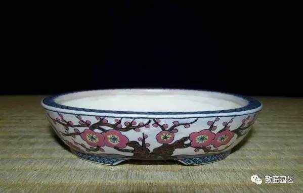 这些盆景用盆你都见过