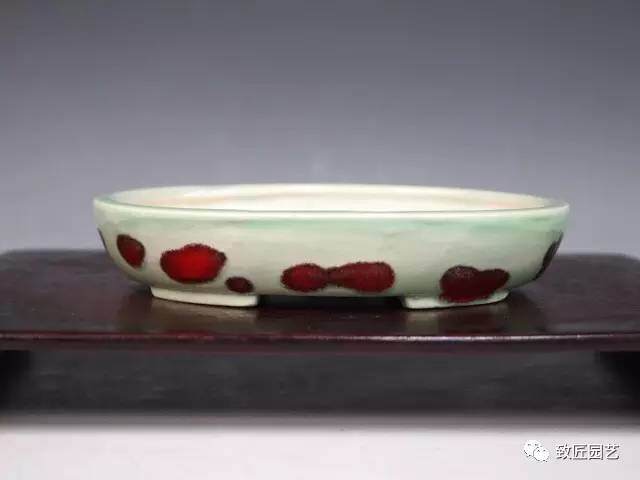 这些盆景用盆你都见过