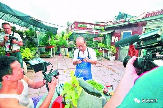 寻访泉州盆景达人陈汉农