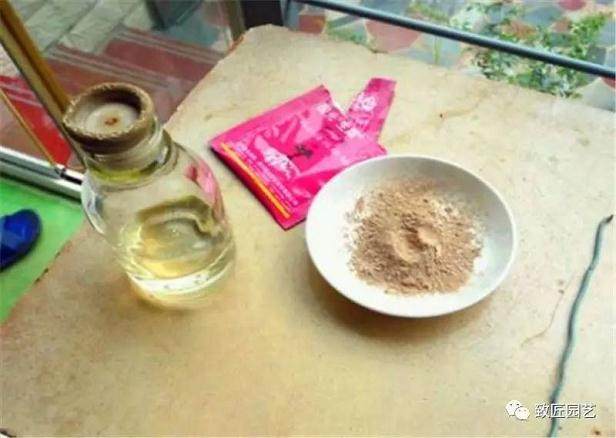 图解 榔榆盆景下山桩怎么栽培的方法步骤