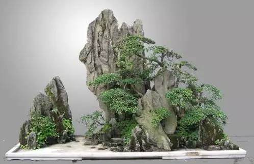 假山盆景摆在家中的哪里风水最旺运?