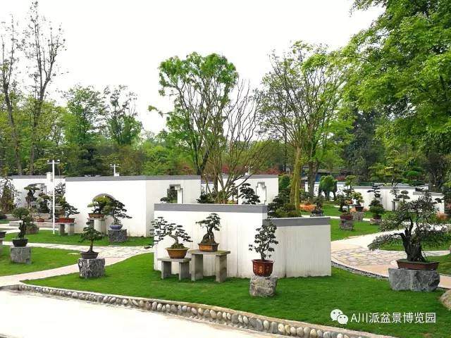 川派盆景博览园落户于郫县友爱镇金台村