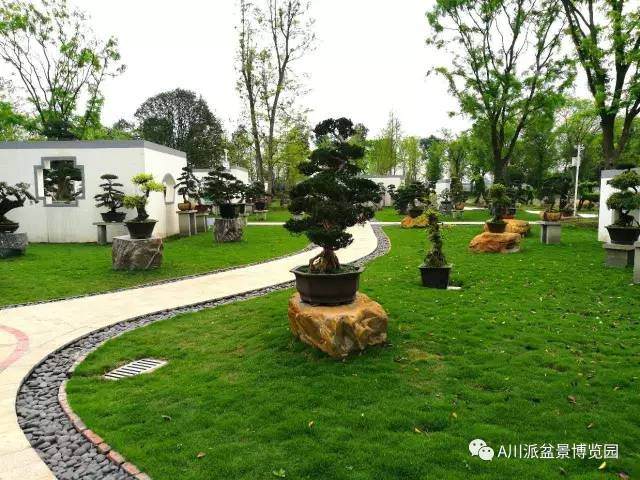 川派盆景博览园落户于郫县友爱镇金台村