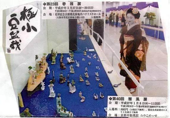 双雄竞技传家宝，中日盆景试比高