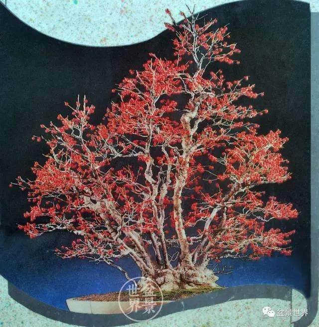 再造的自然——谈一件日本盆景