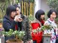 微型盆景园春节喜迎宾客