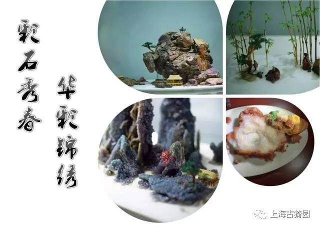 盆景注重布局与意境,通过移天缩地、以小见大