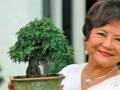 茶余饭后玩盆景的女人永远是最美的