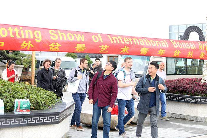 中外青年盆景艺术家pk，谁更帅？